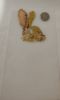 IMG_20230821_014850.thumb.jpg.908b9d55c6f165106ed37dcc8cc8ccfb.jpg