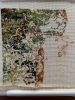 IMG_7059.jpeg