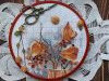 IMG_7628.thumb.jpeg.ef1ab91a486a2a922743b07d8f8a474e.jpeg?1691421020801