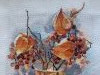 IMG_7759.thumb.jpeg.4babd6468debfc37522cf0c0bd64b230.jpeg?1691421434702
