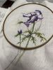 IMG_8881.jpeg
