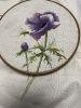 IMG_8945.jpeg