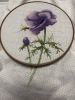IMG_8974.jpeg