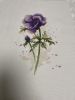 IMG_9212.jpeg