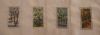 derwentwater.thumb.jpg.bffb27a6991ce164c348a9f05486d8b3.jpg