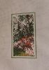 herbst1708.thumb.jpg.24ee57a3ddac5ca526cf31f7ba6d2da2.jpg
