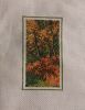 herbst1808.thumb.jpg.b22890d025c900116764185bdbd48036.jpg