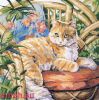 Janlynn 023-0559, Cat in the Sun
