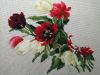 117.thumb.jpg.a13c86f861a7eb2ddba221e436506d9e.jpg
