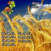1515994396_12.thumb.jpeg.21f71d4cfa761718499158325618a6d6.jpeg