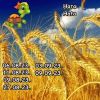 1605910430_12.thumb.jpeg.4d0e84506cfaf623cb4dffbcf911a968.jpeg