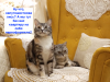 1695304454348.thumb.png.fbe4b97dc8998aa882488eb23bdd69aa.png