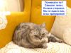 1695304454352.thumb.jpg.e85e6456ee699b71a6acd8f74cad65e5.jpg