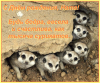 1798106330_.thumb.png.efbc446433753a99672bc8b03dcbb8f1.png