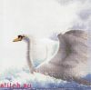 Heritage 484, Лебедь в полете (Swan in Flight)
