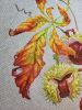 20230527_103058.thumb.jpg.fe8f29011ecbdefed90ba47cdcc4bea2.jpg