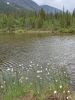 20230704_152846.thumb.jpg.9f035a7688291d1d659da6314c08d70c.jpg