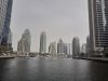 20230815_155134.thumb.jpg.23b24529faf563d9cf81a65ba8b0e4f7.jpg