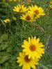 20230819_123843.thumb.jpg.bd27ecc5c23773b8fced398c11e4d575.jpg?1694848138760