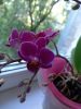 20230820_095024.thumb.jpg.482a5d3a6406bbb43c6e7b68a9a286da.jpg