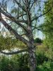 20230825_170913.thumb.jpg.156f17ac19136c589cf6f14b8b8a223a.jpg