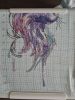 20230827_122647.thumb.jpg.10858850a160a9a80571ffee40bbf05e.jpg