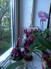 20230829_080933.thumb.jpg.5b767be609f1407c1d0bb5c6273b13b2.jpg