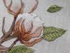 20230924_121856.thumb.jpg.3eeb80d767e5c1fd5b3436dfe5287e7d.jpg