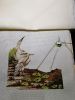 204808534_.thumb.jpg.7ae1a0b2588a8f5e38f30c5481d73f50.jpg