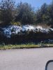 2131019994_.thumb.jpg.97b6302018c40cd81256a8e0894d5ec9.jpg