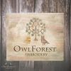 Совиный лес (OwlForest), Совы под дубом