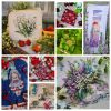 961620669_MyCollages-7(1).thumb.jpg.c9728593437e680d15c578333f2e5e54.jpg