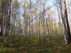 DSC08792.thumb.JPG.f7a24ad7a04fb85f5cc3a81a03504d96.JPG
