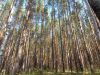 DSC08793.thumb.JPG.a56037a6e975a4b32486ee8660b3c6b3.JPG