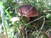 DSC08804.thumb.JPG.cfc059d3791f746c1bf5a507d74f2e68.JPG