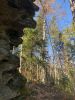 IMG-20230924-WA0040.thumb.jpg.f71b7e6421ffe9f22e5c1a8cfa025c12.jpg