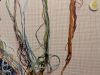 IMG20230830071331.thumb.jpg.eb95a2c68263489c83f47cd80948a7f6.jpg