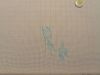 IMG20230903143556.thumb.jpg.586b762b223f5eb414ee4e2f8579dfe8.jpg