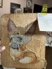 IMG_1158.jpeg