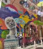 IMG_20230401_134104.thumb.jpg.af8b4b23eb872001a7b3134e703f8d35.jpg?1694033319038