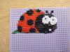 IMG_20230403_224301.thumb.jpg.7b0fdce3bb7b3aa669e78960e0cb9c9e.jpg
