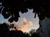 IMG_20230812_193451.thumb.jpg.b9e2566c6a5feff7ba288edde849dc3d.jpg