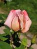 IMG_20230816_130904.thumb.jpg.6703dcb39eb4eb9f91b411d0b9f1e877.jpg