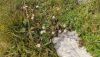 IMG_20230817_165450.thumb.jpg.79e37263d6fbb0a13480f6ebc26184ec.jpg