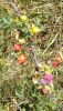 IMG_20230818_124546.thumb.jpg.3316d6557f30c29d1f821b863267c2b9.jpg