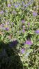 IMG_20230820_122017.thumb.jpg.aa10a14f5466b04fdccc284bc78a2639.jpg