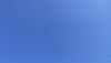 IMG_20230820_125453.thumb.jpg.ad7414fb88b4db8d8f234f0ad0d1f858.jpg