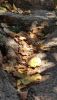 IMG_20230820_131735.thumb.jpg.a224e9f2e5b8f6d859a5f534979cbba1.jpg