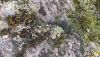 IMG_20230820_132124.thumb.jpg.bed5d26f8936da772a4499c5023cc3cf.jpg