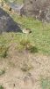 IMG_20230820_154125.thumb.jpg.063e7989f0a4aff9d110a8af7bee6301.jpg